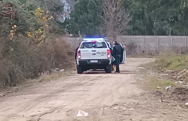 09d9af3a-40d6-4378-bacb-bb7dab0037dd-scaled