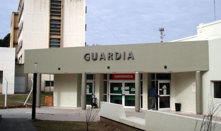 guardia-higa